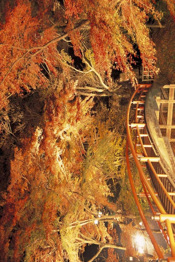 Shinki Hotel Shibukawa Екстериор снимка